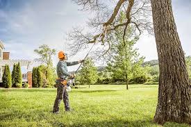 Professional  Tree Services in Gilberts, IL